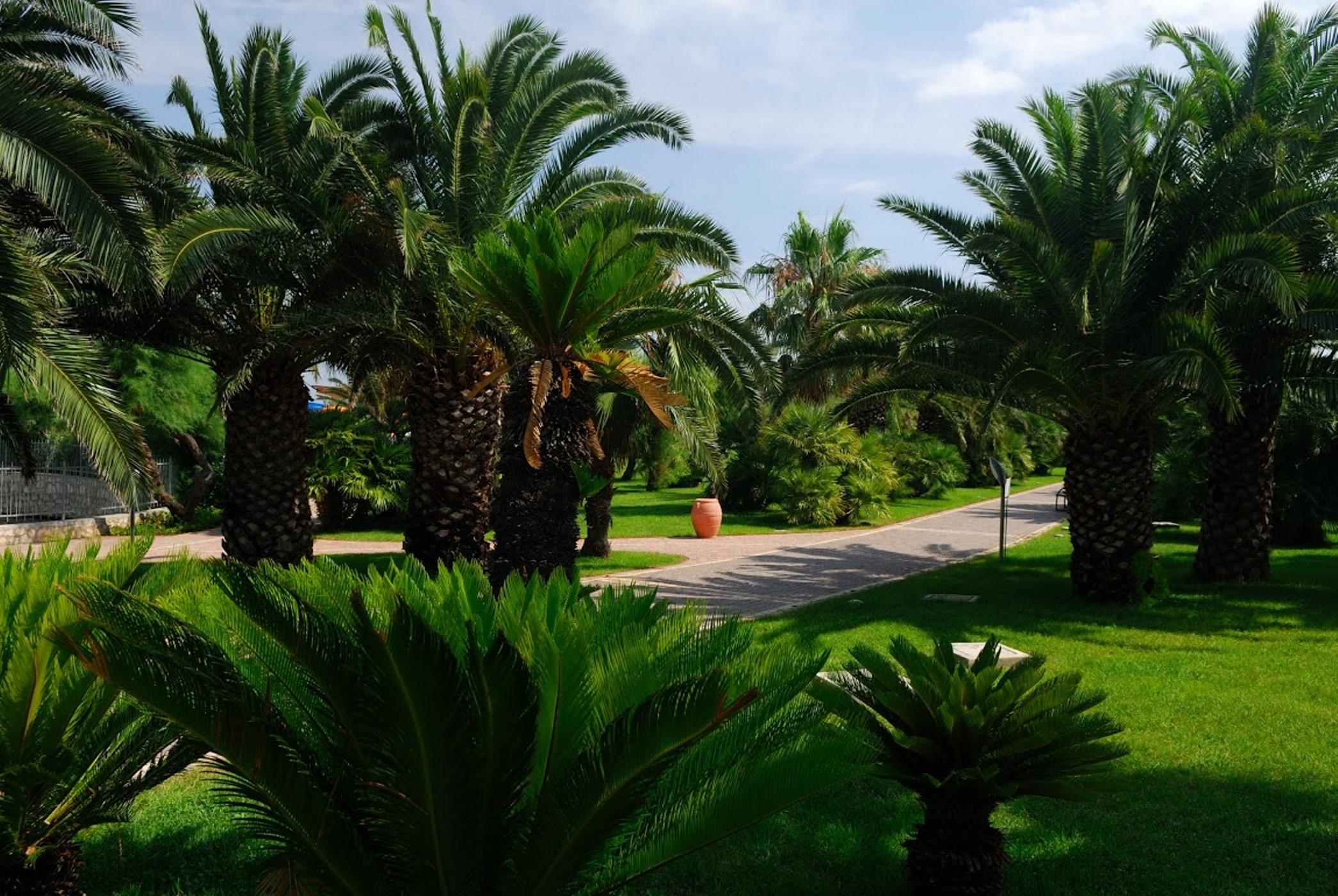 GranSerena Hotel Torre Canne Exterior foto